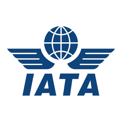 IATA certified fast forwarder logistics
